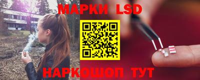 индика Будённовск