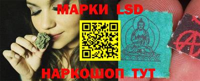 индика Будённовск