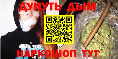 индика Будённовск