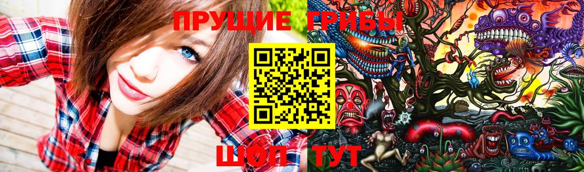 Галлюциногенные грибы Cubensis  Вход с VPN  цены   Галлюциногенные грибы прущие грибы  Соль-Илецк 