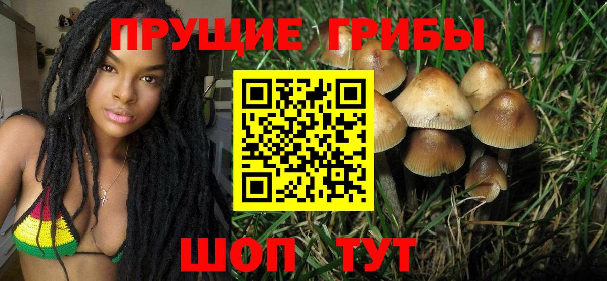 Псилоцибиновые грибы ЛСД Соль-Илецк